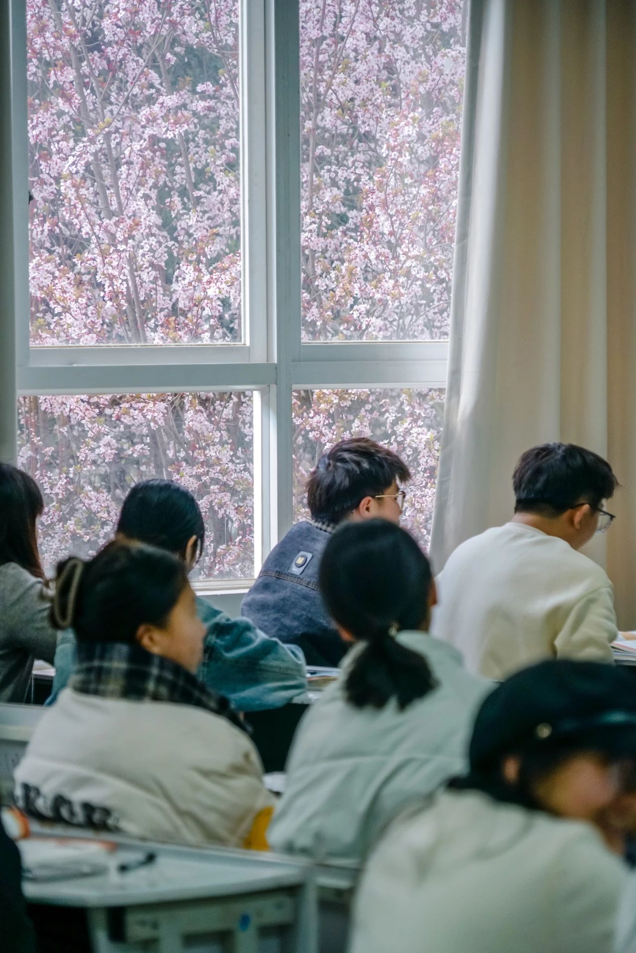 云南经济管理学院春季学期开学！ 第 6 张