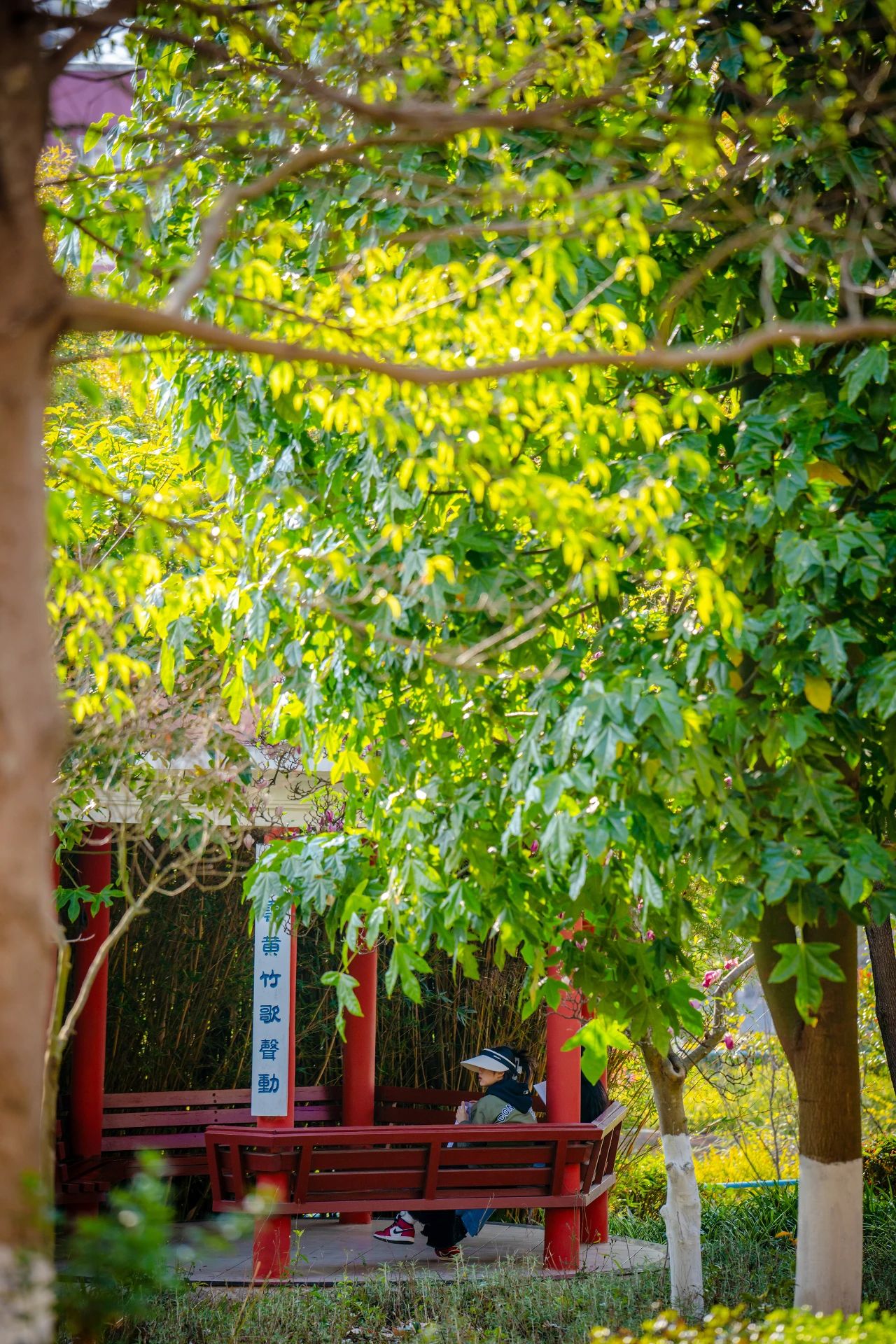 云南经济管理学院春季学期开学！ 第 8 张