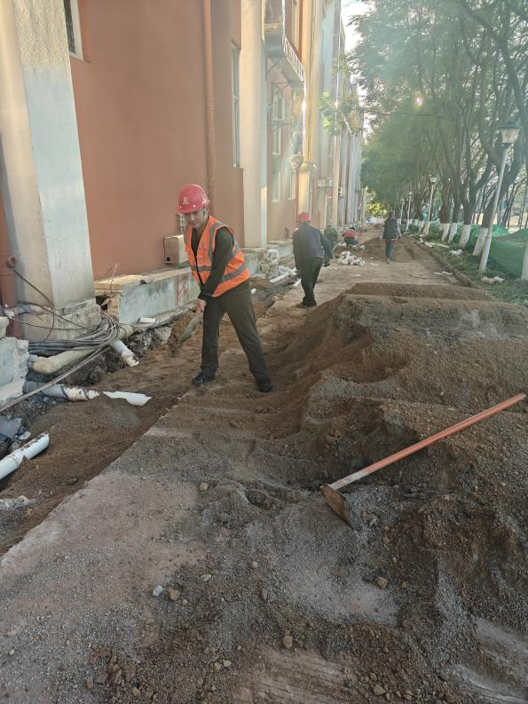 王涛.png 王涛.png