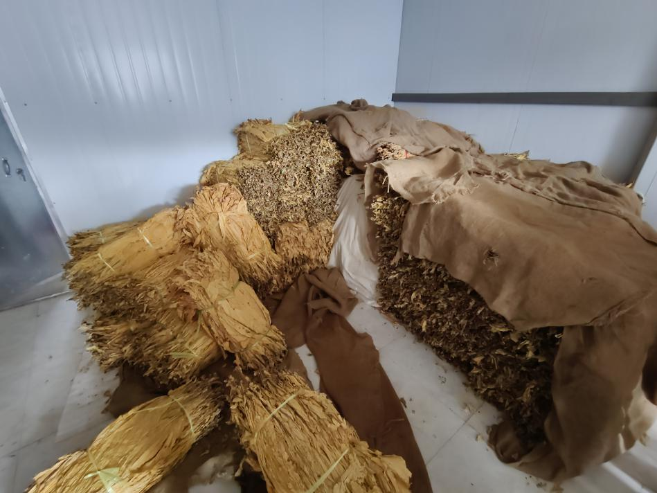 暑期社会实践 | 生物质燃料颗粒+自动化烘烤：烟草加工迈向“零碳”未来 第 8 张