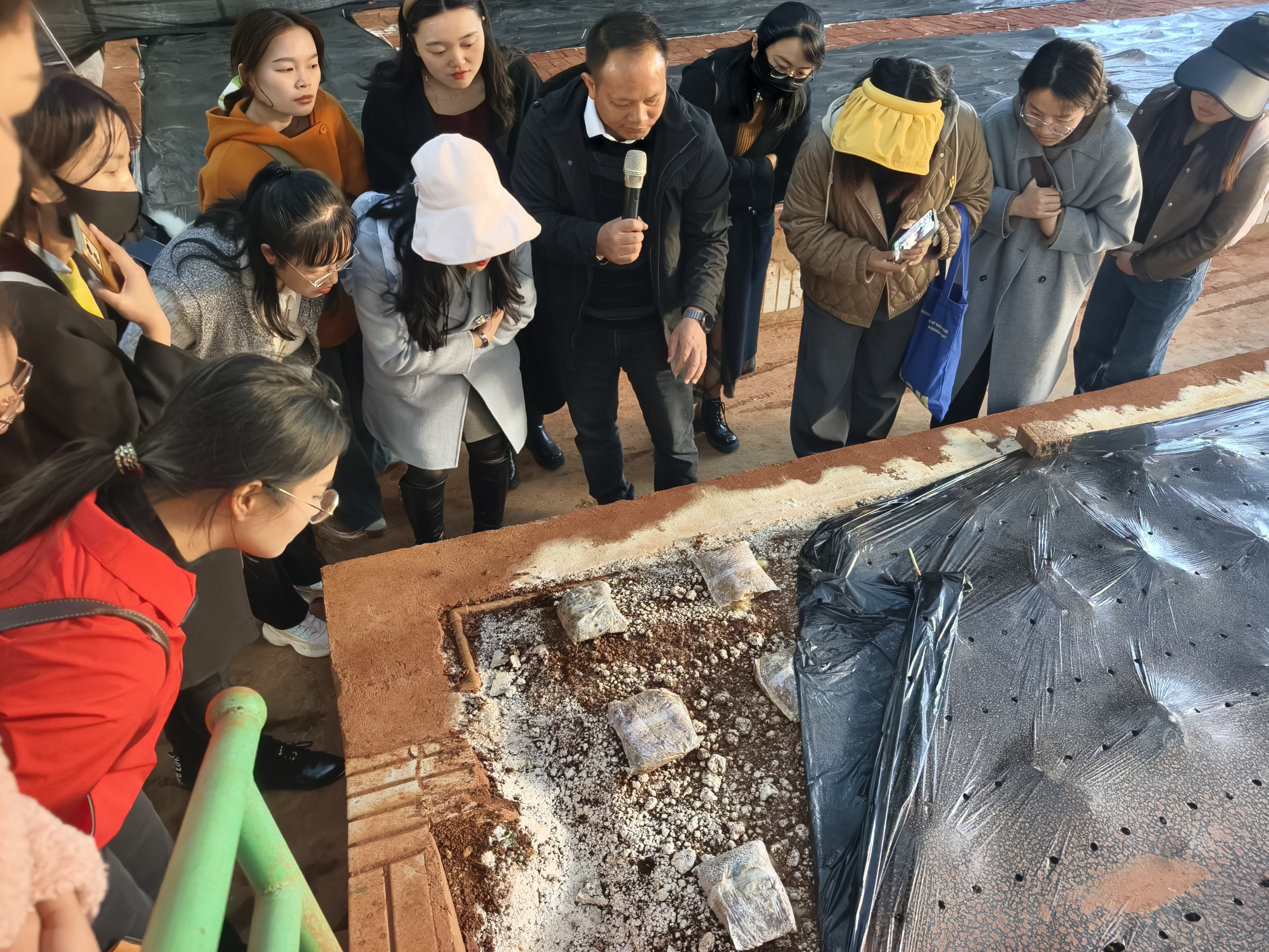 凝心聚力促发展，立足岗位做贡献——深入学习贯彻党的二十届三中全会精神推动专业建设高质量发展主题党日活动 第 5 张